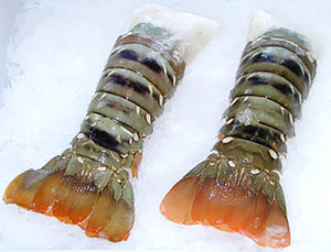 Canadian 8-10oz lobster tails