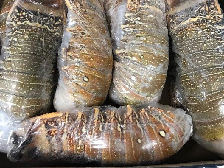 Lobster Tails Brazilian XL - Approximately 1 lb Each -  $29.95 per tail