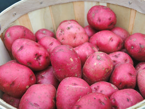 Red potatoes 3lbs/$1.99