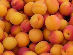 Sweet Apricots $1.49lb