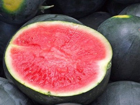 Sweet Seedless  Watermelon .49¢ lb