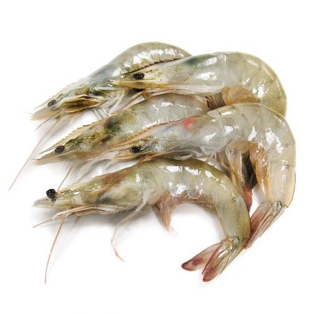 Head on shrimp case price $5.99 lb 30/40 count sold in 4lb bricks.