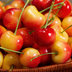 Rainier Cherries