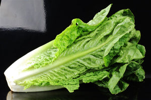 Romaine lettuce $1.99 each